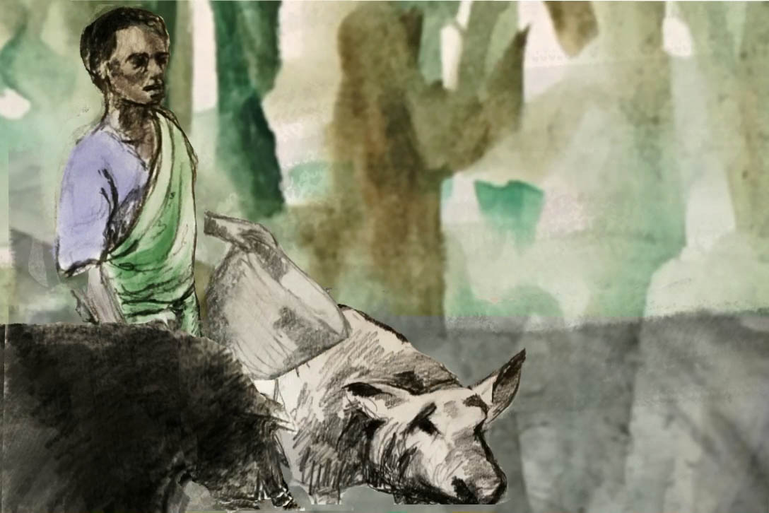 Hand Drawn Animation